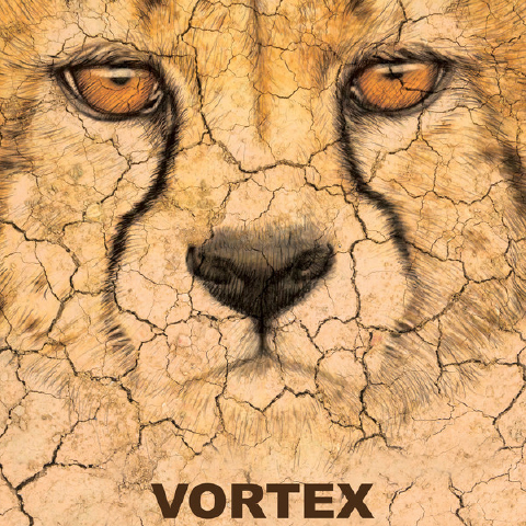 Vortex